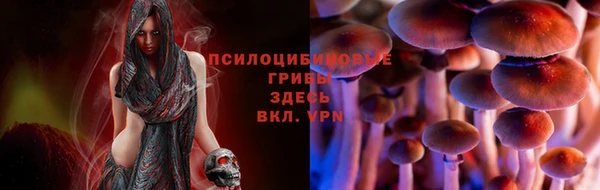 PSILOCYBIN Нефтекумск