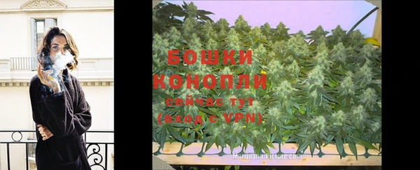 PSILOCYBIN Нефтекумск