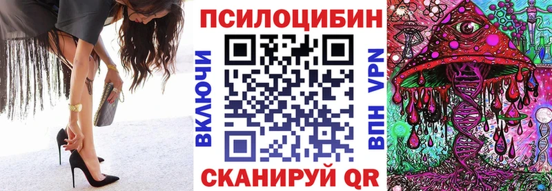 KRAKEN   Братск  Галлюциногенные грибы Psilocybe  хочу  
